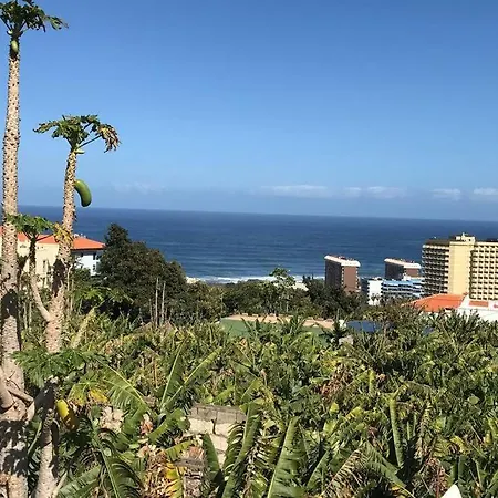 Casa Barreto. Paraiso En Puerto De La Cruz. *