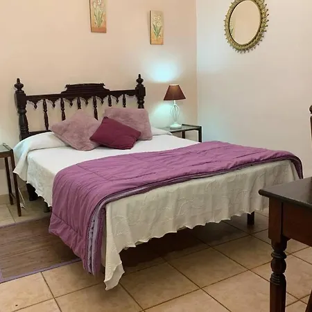 Casa Barreto. Paraiso En Puerto De La Cruz. Holiday home